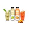 PIN Cool Lime & Orange Mango - Şekersiz & Kalorisiz 250 ml X 24 adet